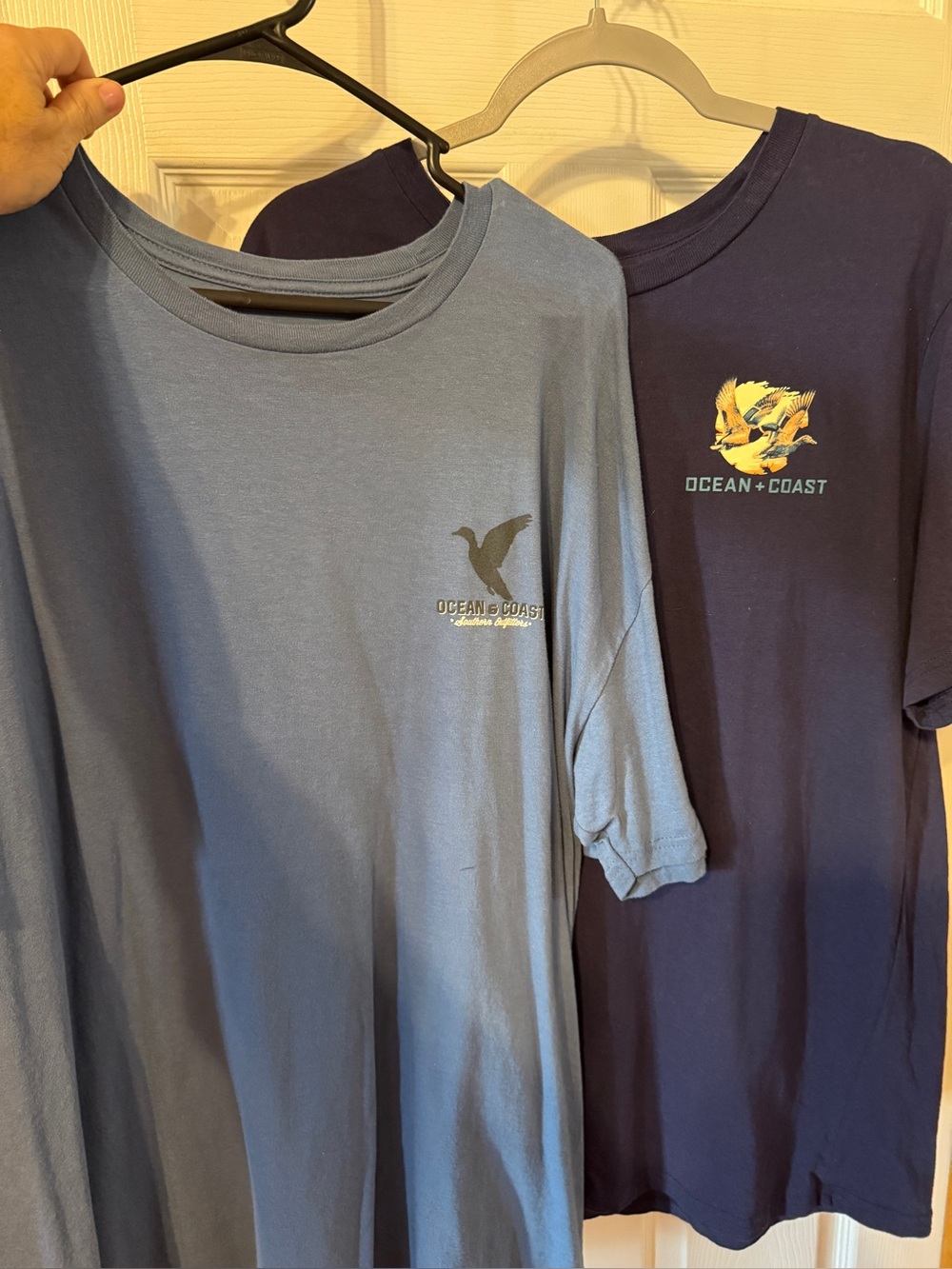 Ocean + Coast Bird Short-Sleeve Tee Bundle — Casual Crewnecks Size XL